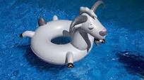 Goat Swim Ring 42" x 42" x 36" SCP DISTRIBUTORS